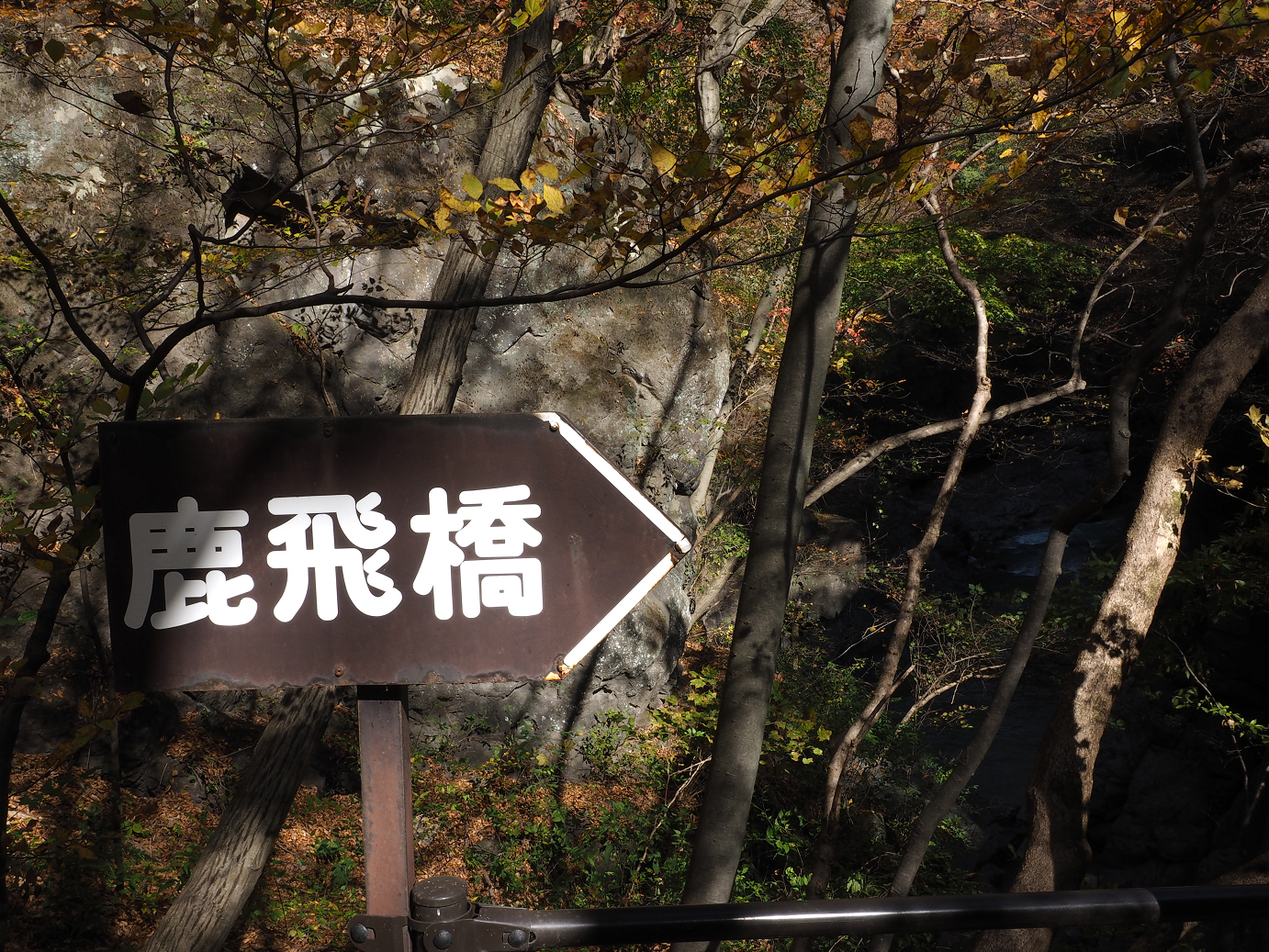 PA310285.jpg
