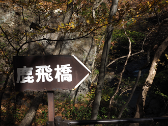PA310285_thumb.png