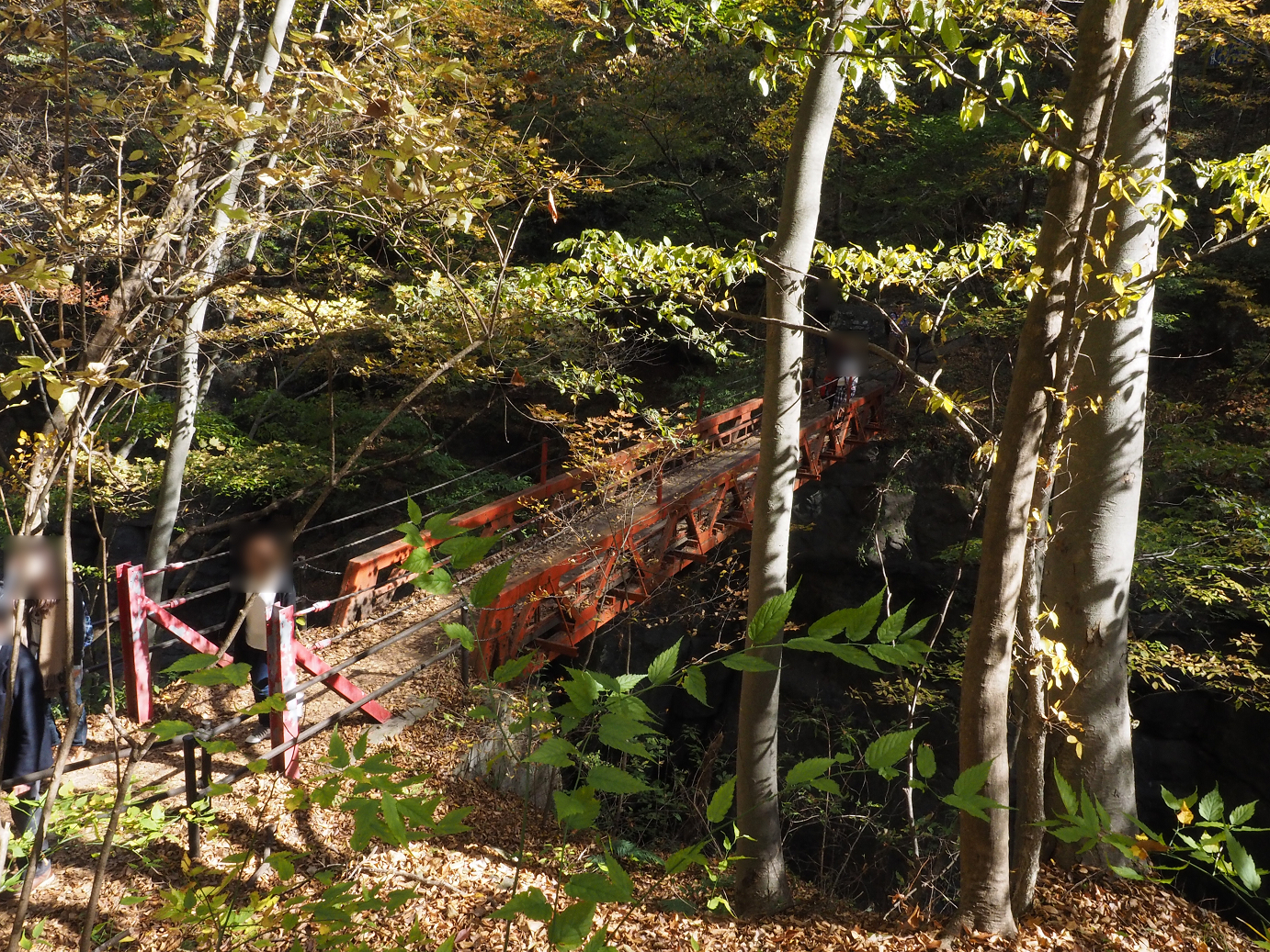 PA310286.jpg