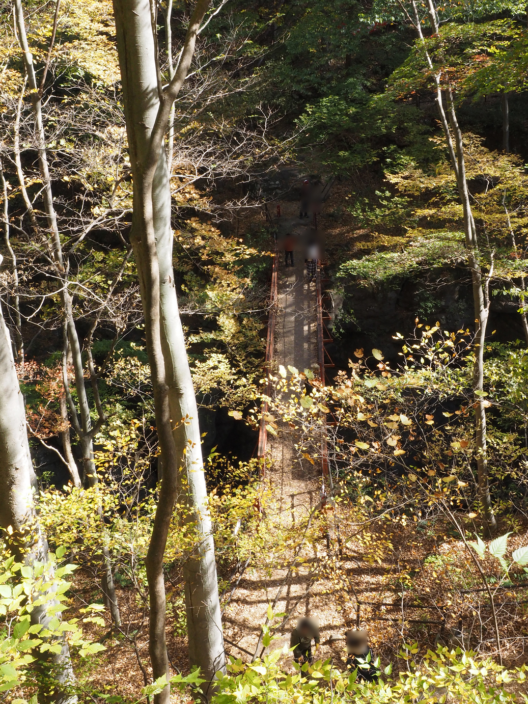 PA310288.jpg