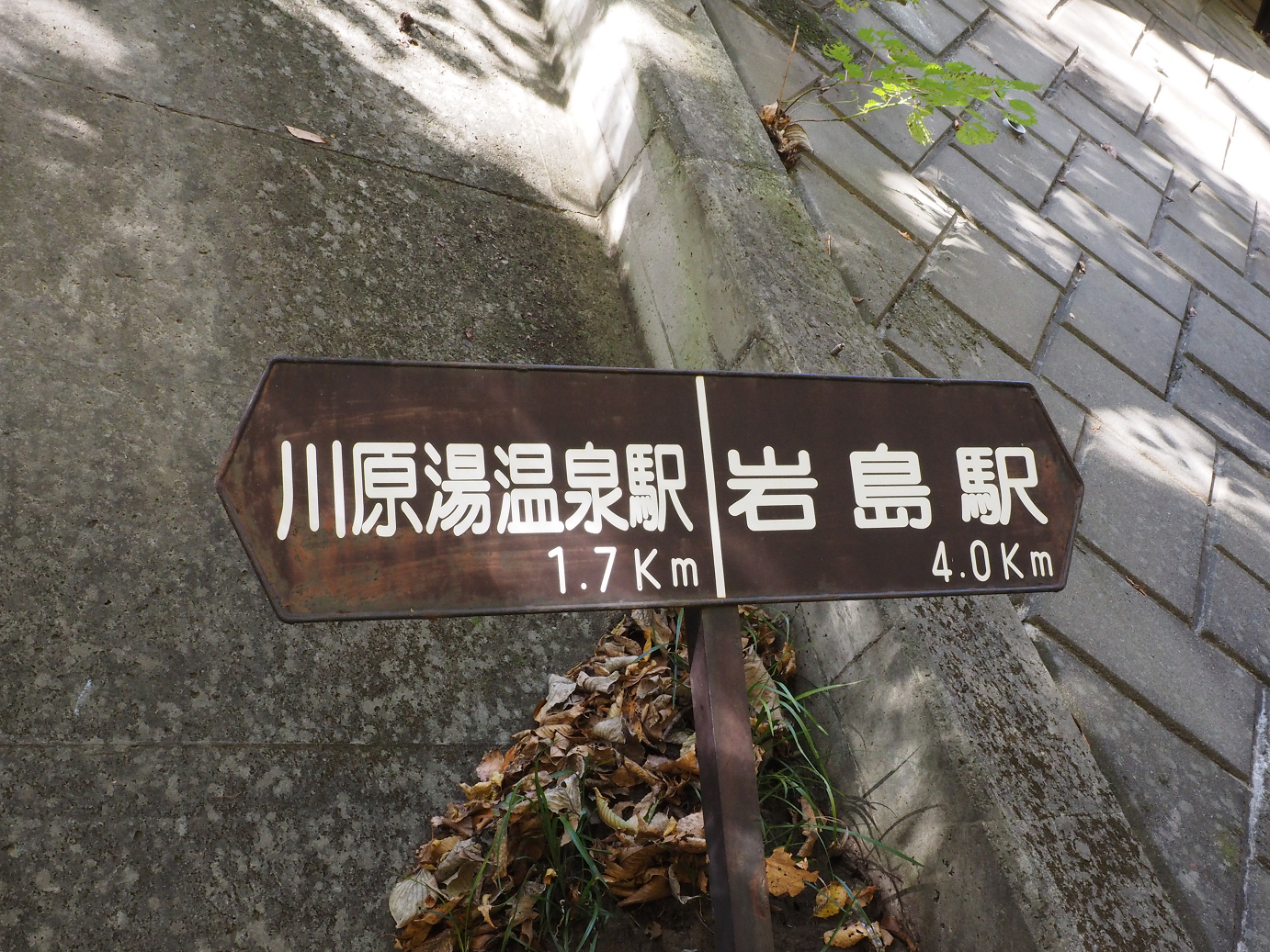 PA310289.jpg
