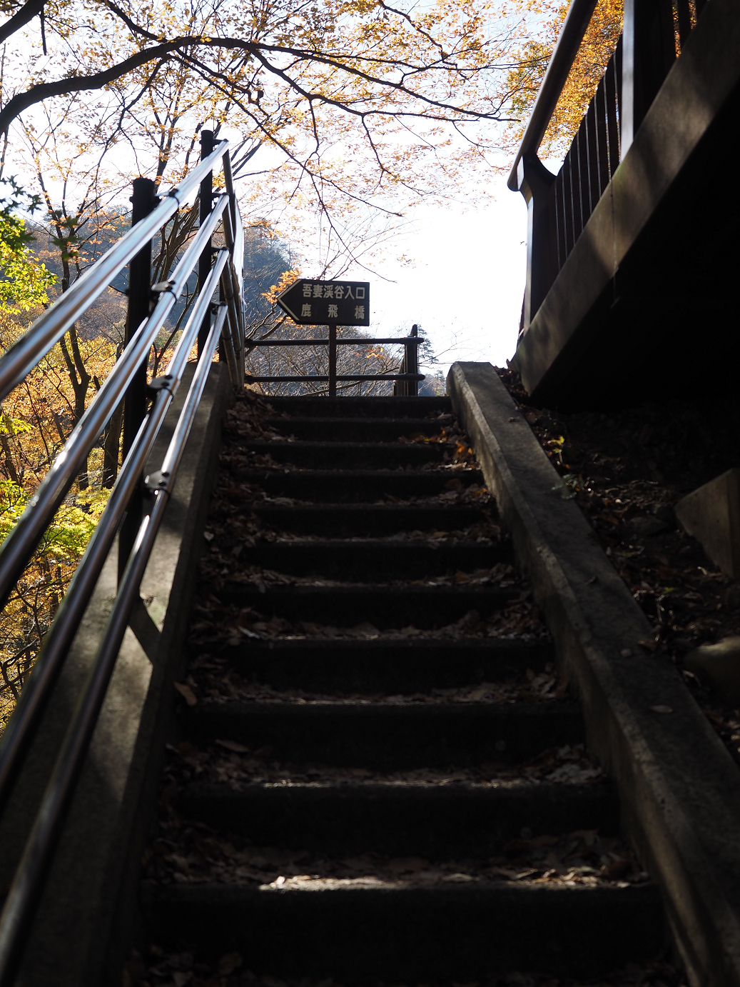 PA310292.jpg