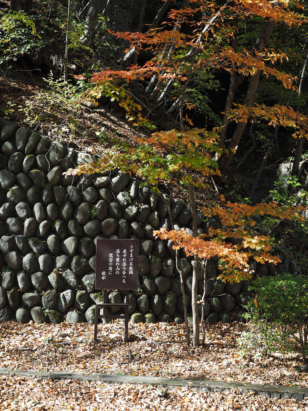 PA310295.jpg