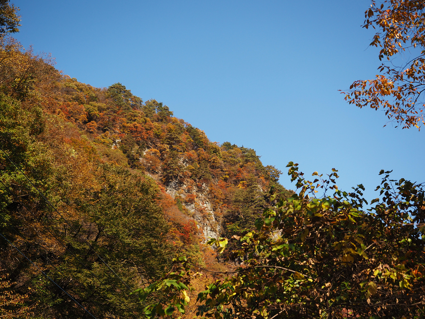 PA310296.jpg