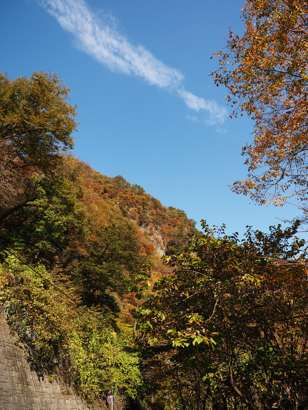 PA310297.jpg