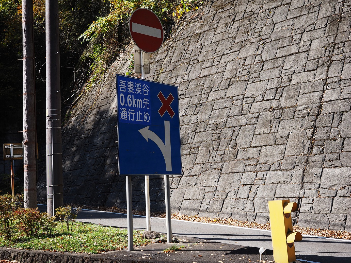 PA310298.jpg