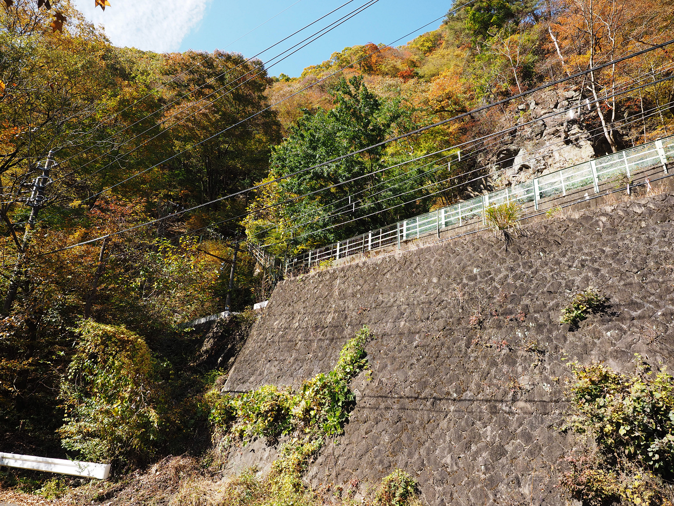 PA310299.jpg