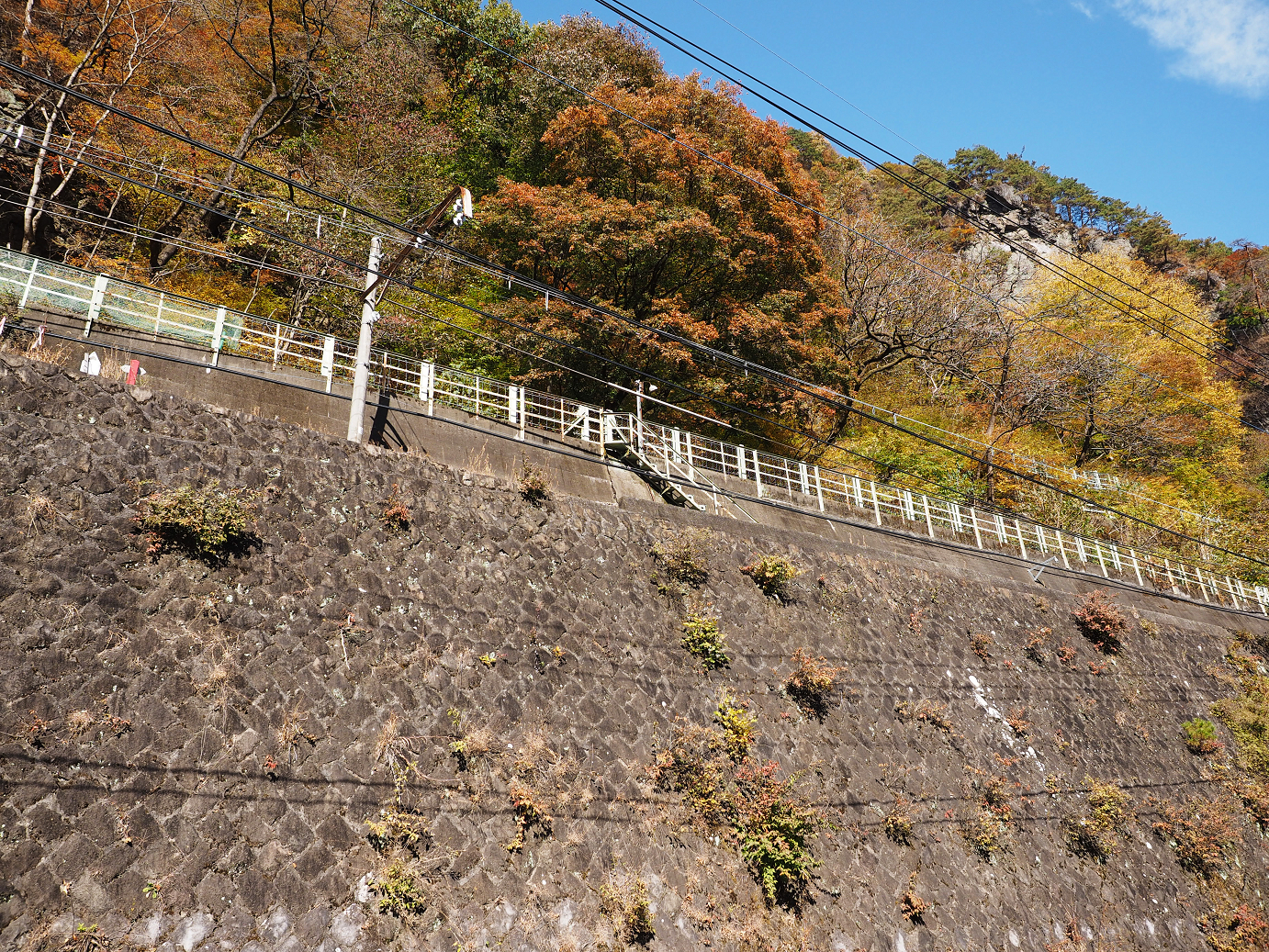 PA310300.jpg