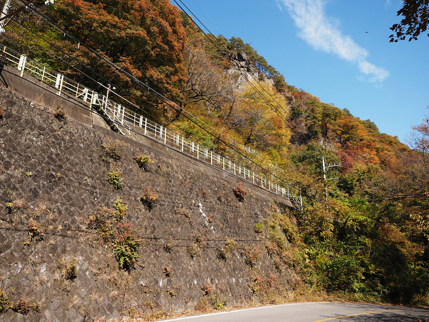 PA310301.jpg