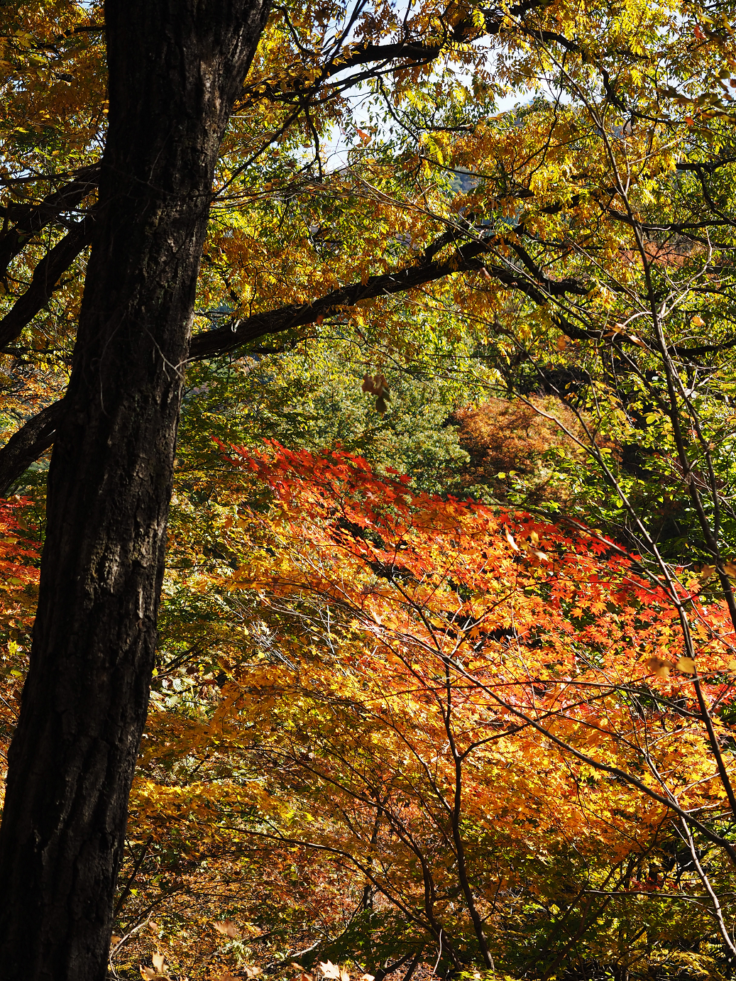 PA310303.jpg