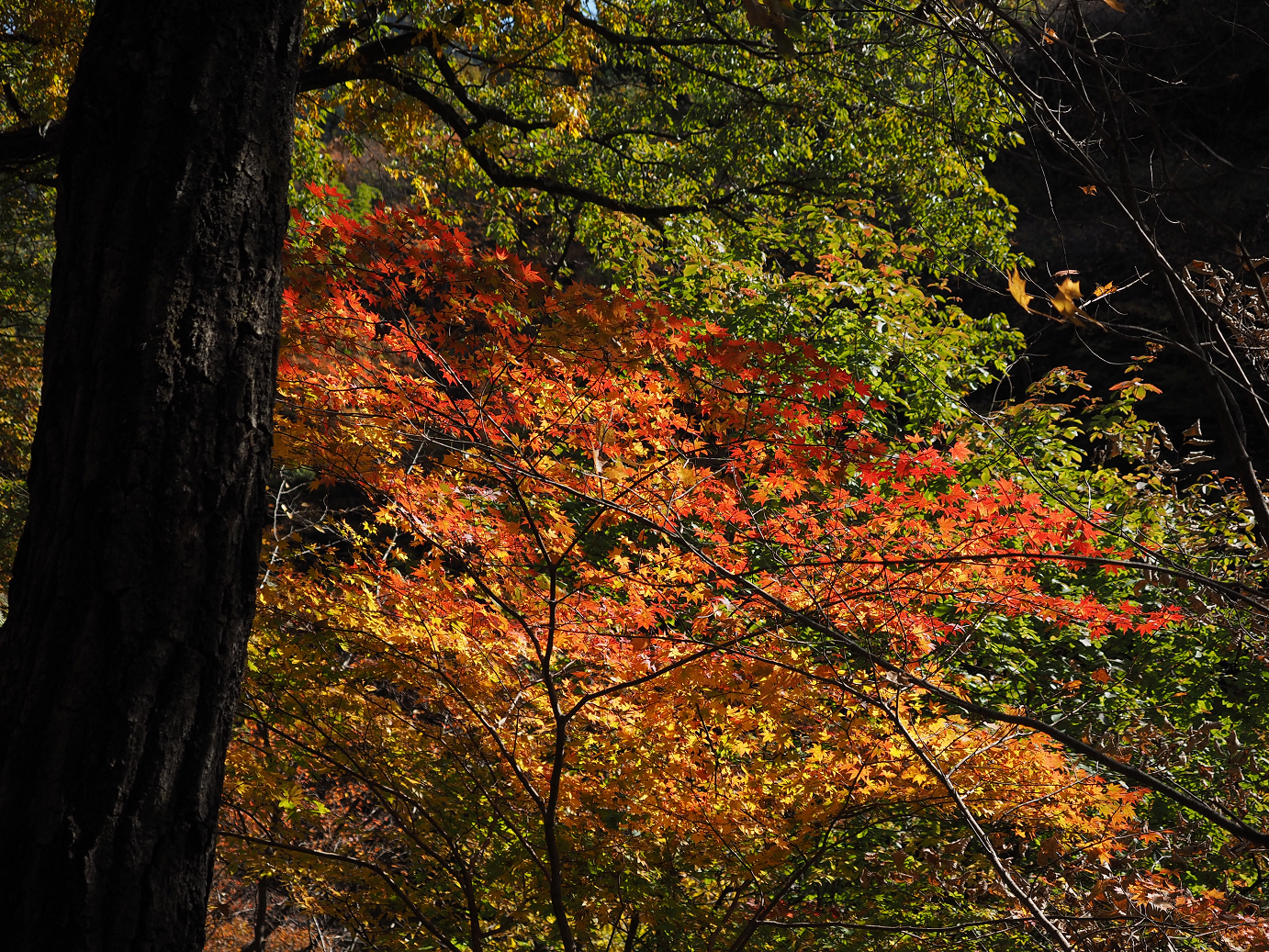 PA310304.jpg