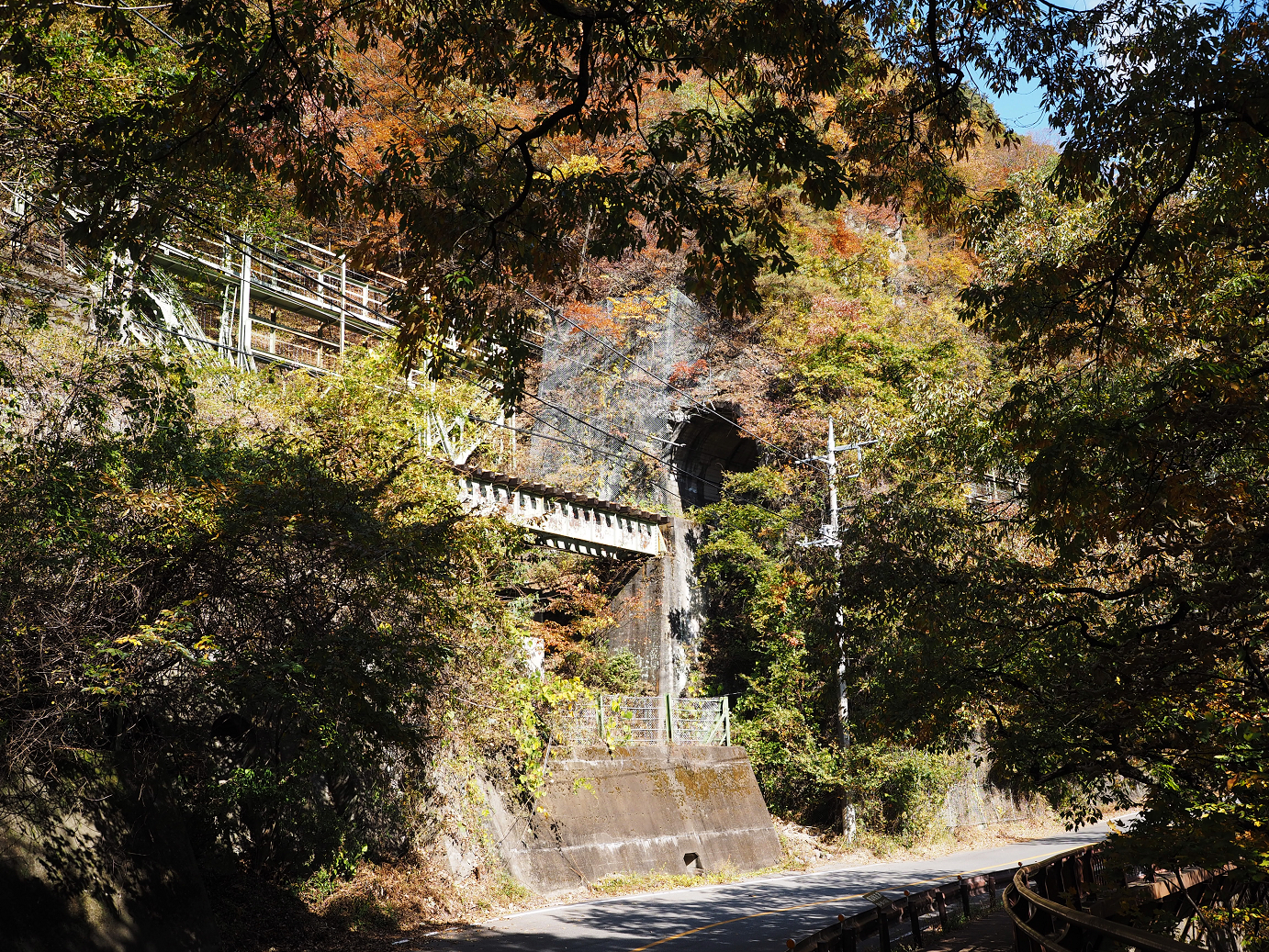 PA310309.jpg