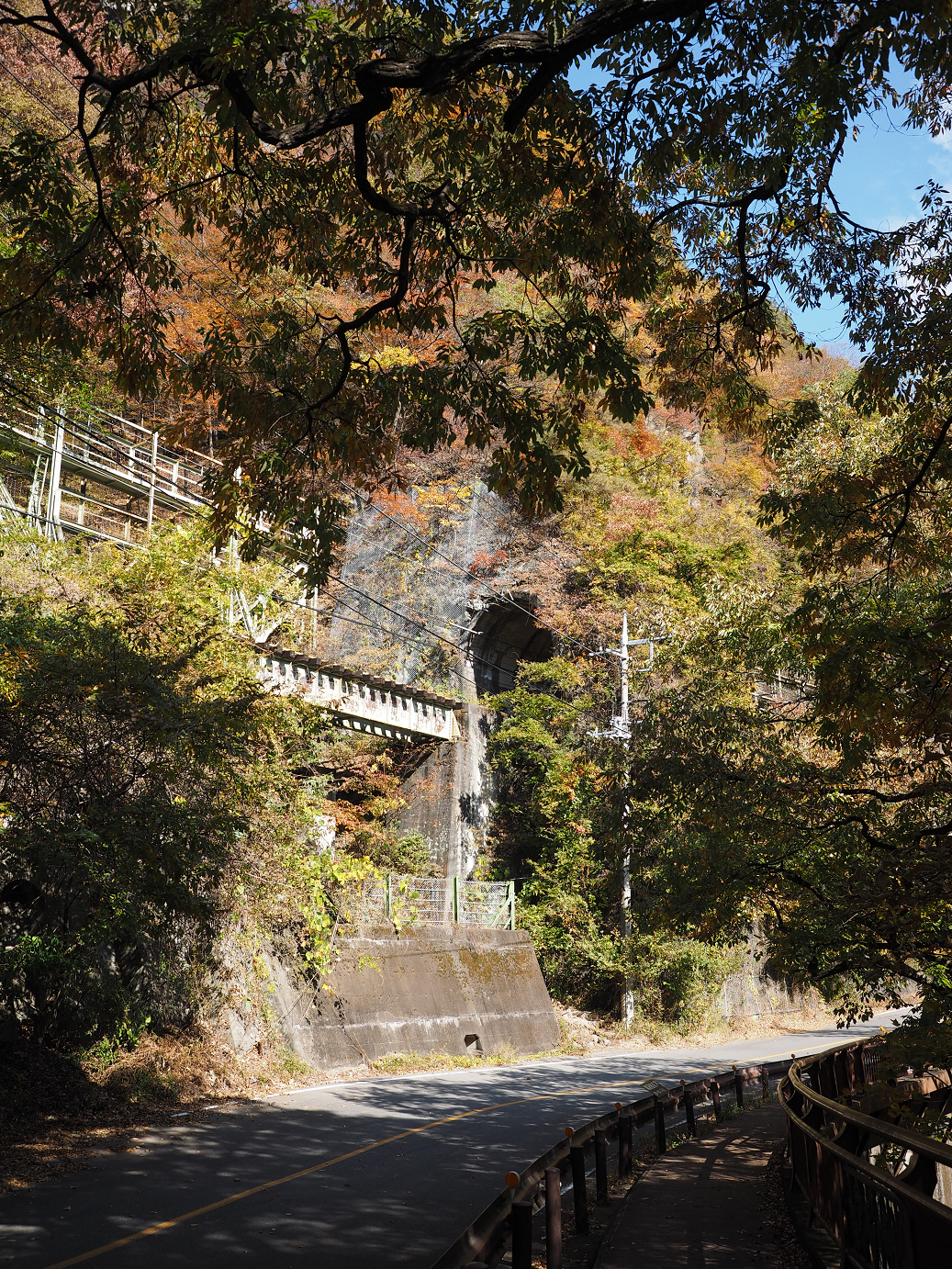 PA310310.jpg