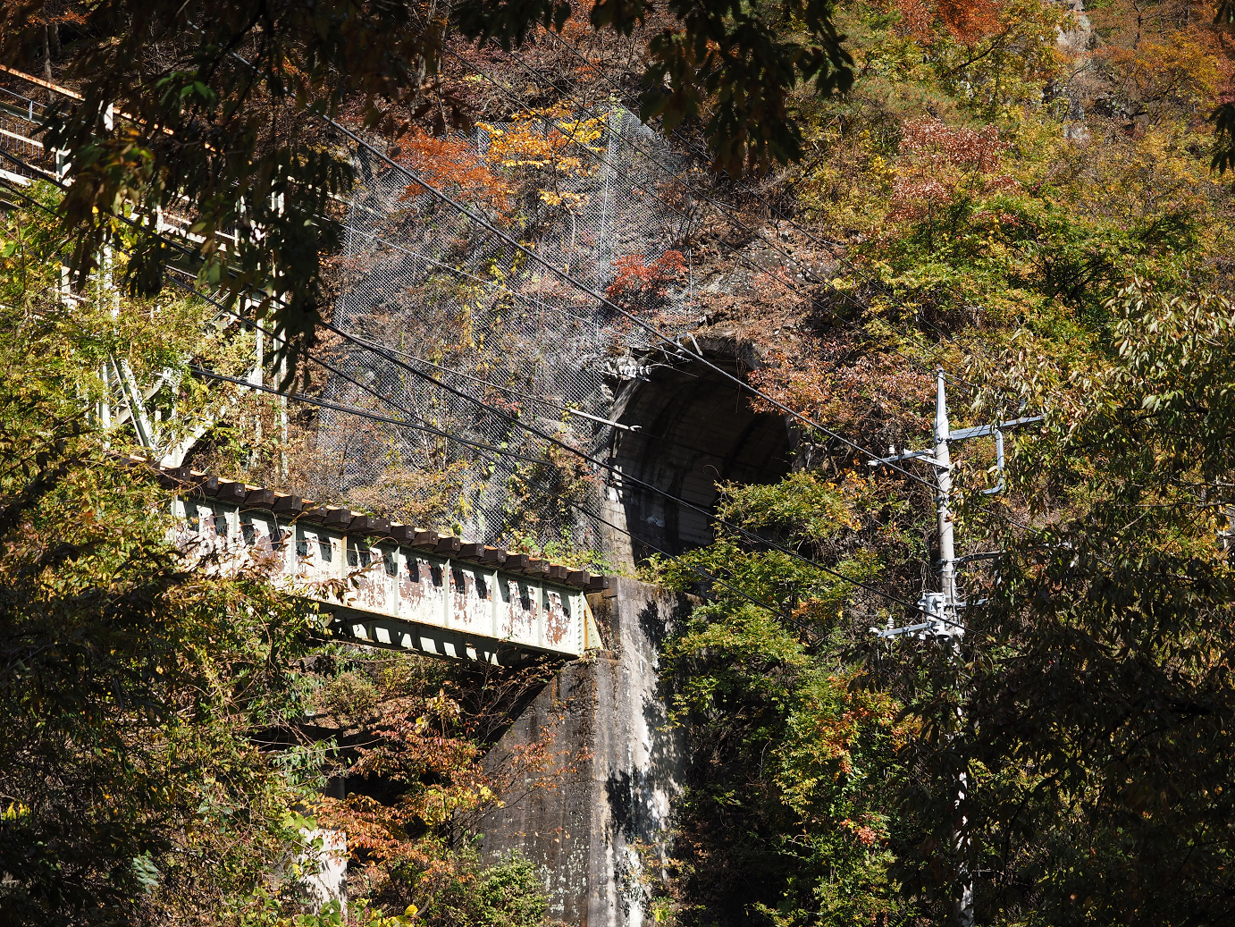PA310311.jpg