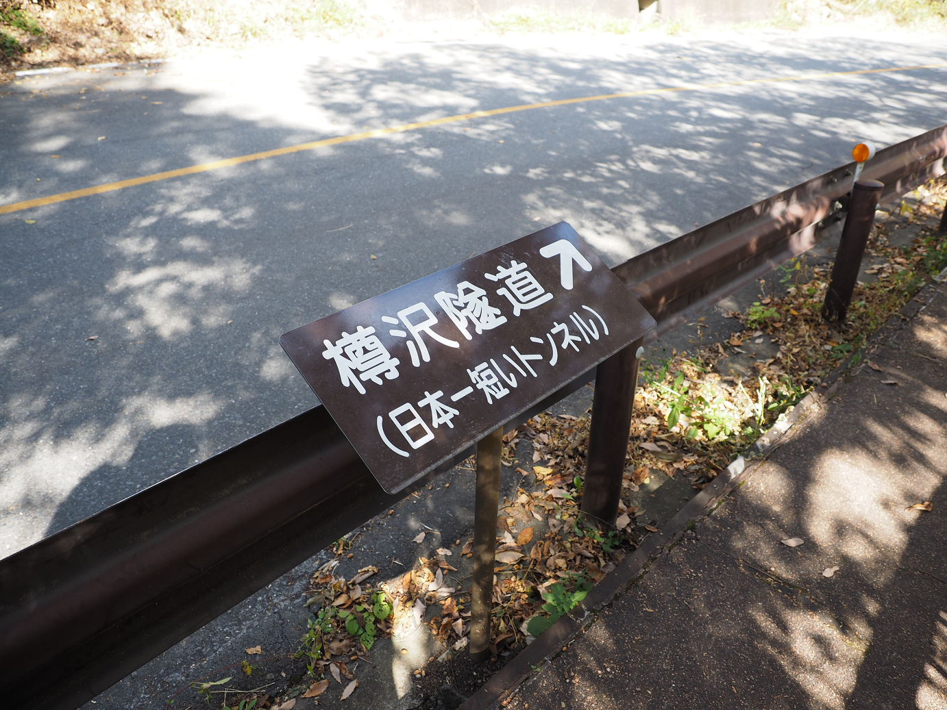 PA310312.jpg