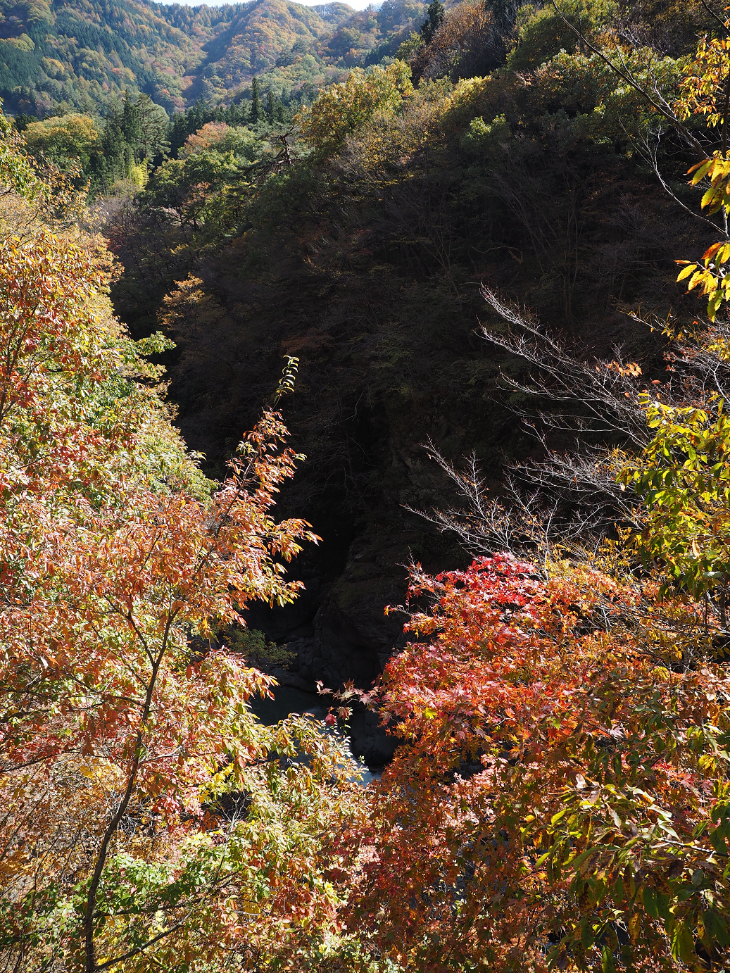 PA310315.jpg