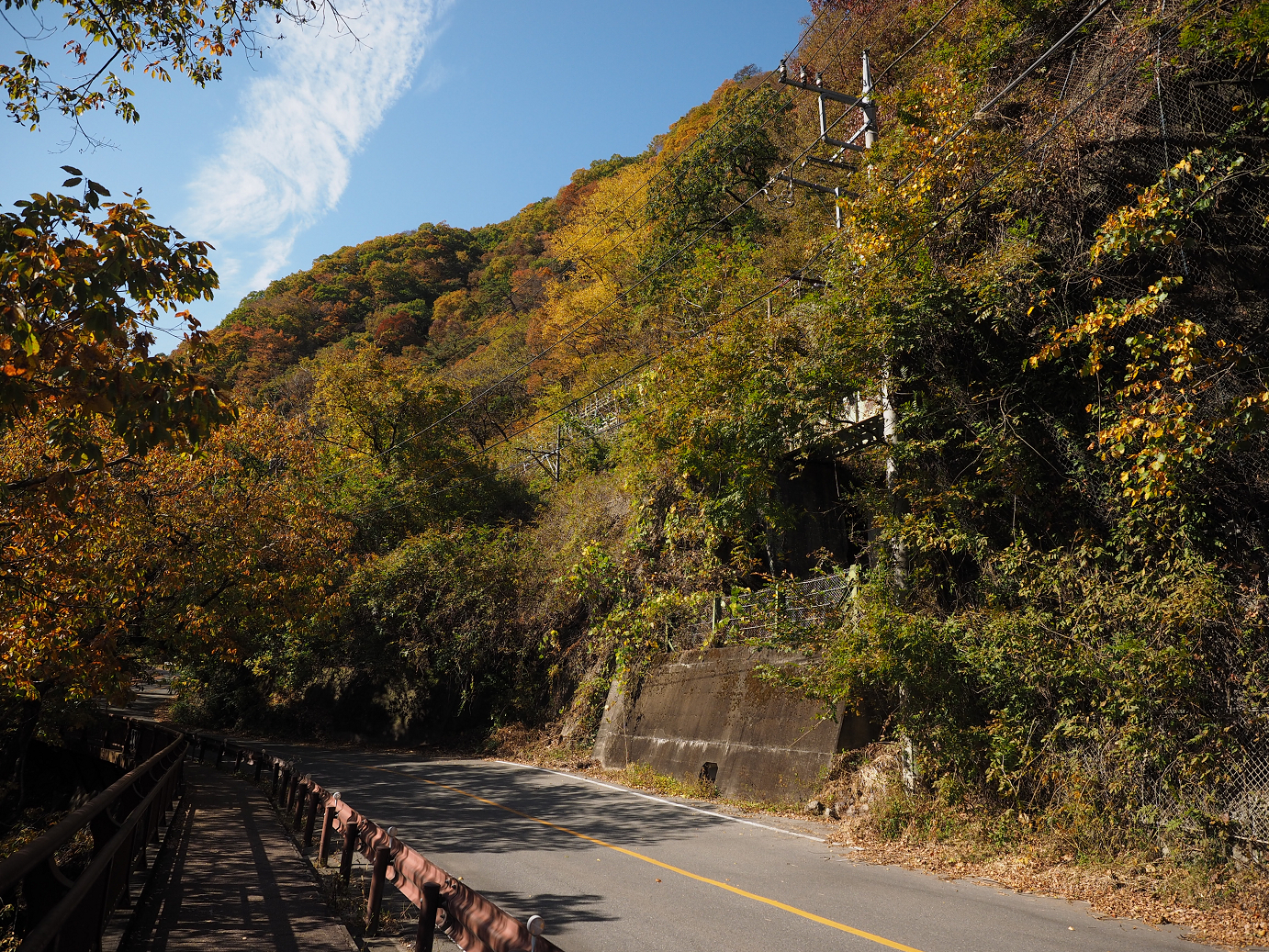 PA310317.jpg
