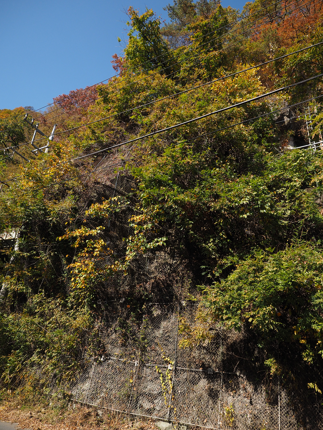 PA310318.jpg
