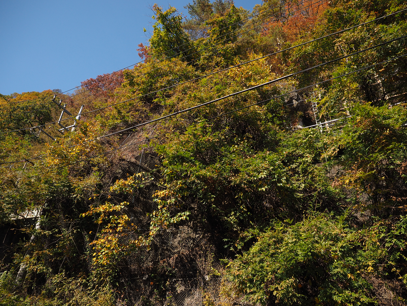 PA310319.jpg