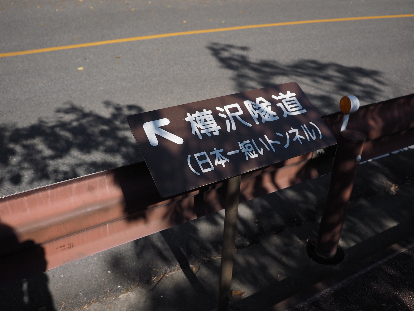 PA310320.jpg