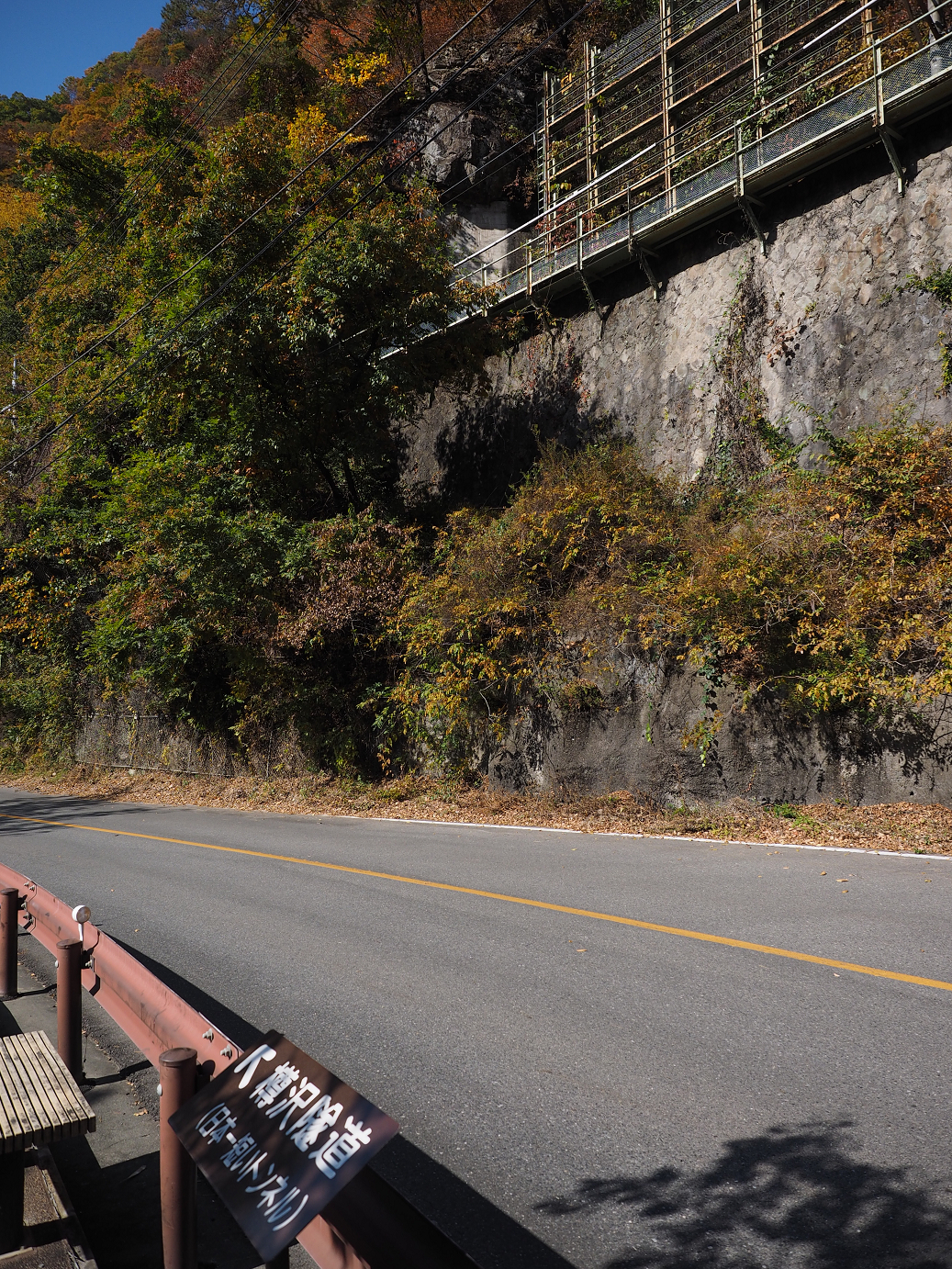 PA310321.jpg