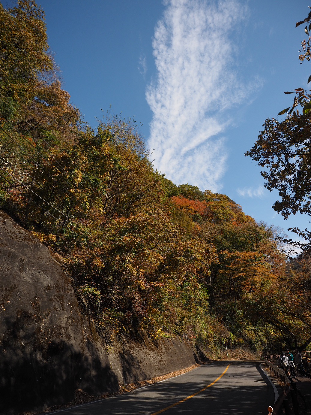 PA310323.jpg