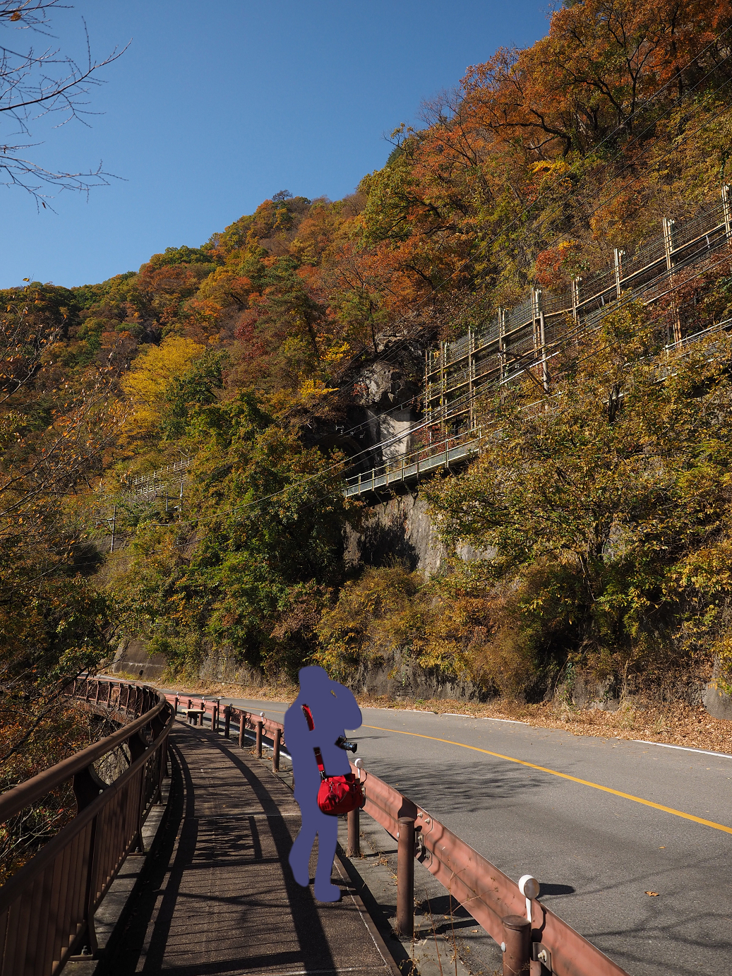 PA310324.jpg