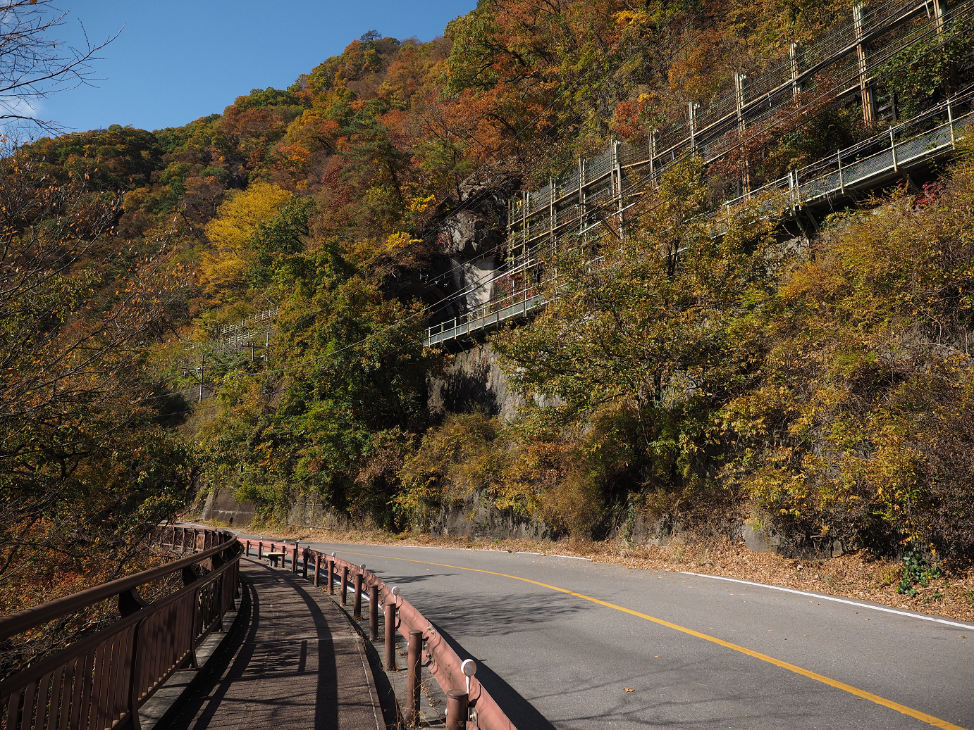 PA310325.jpg