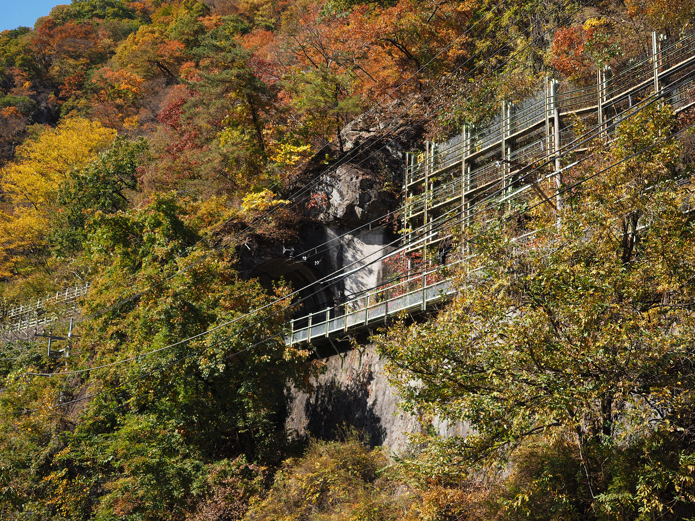 PA310329.jpg