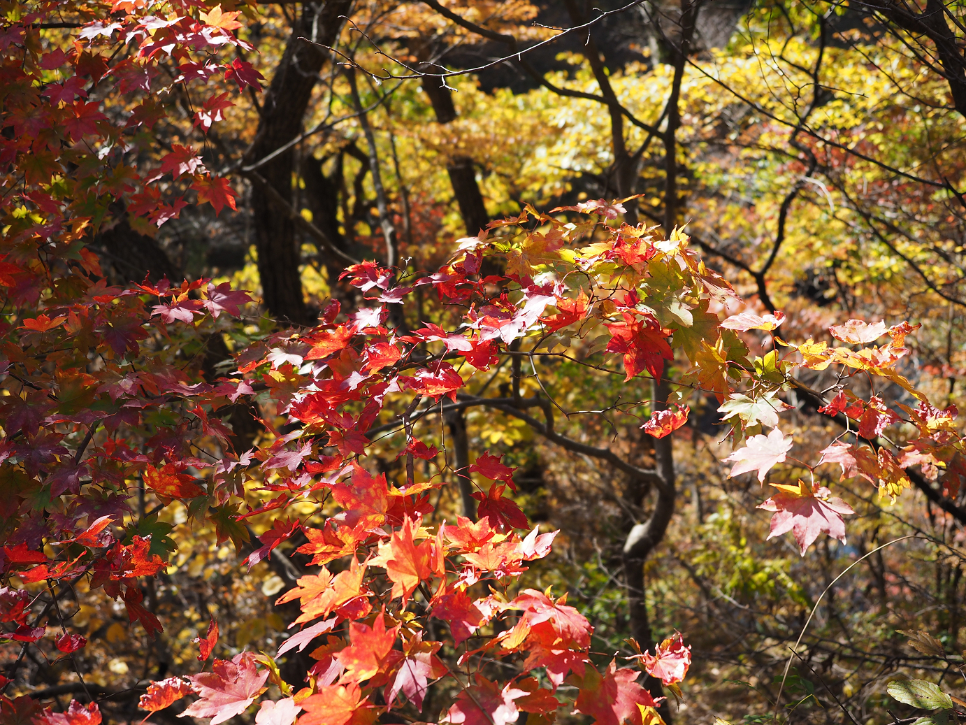 PA310330.jpg