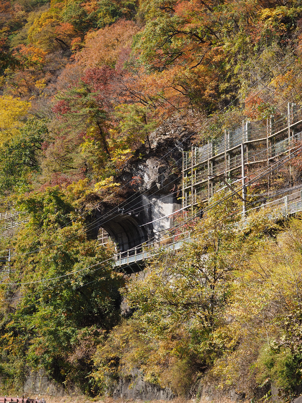 PA310333.jpg