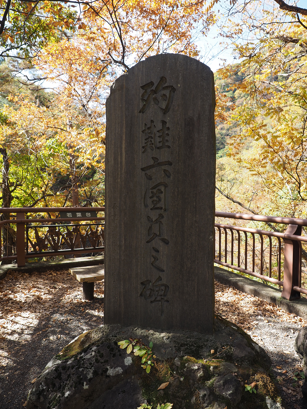 PA310337.jpg