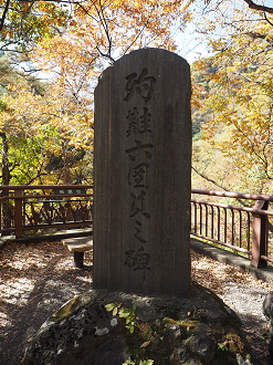 PA310337_thumb.png