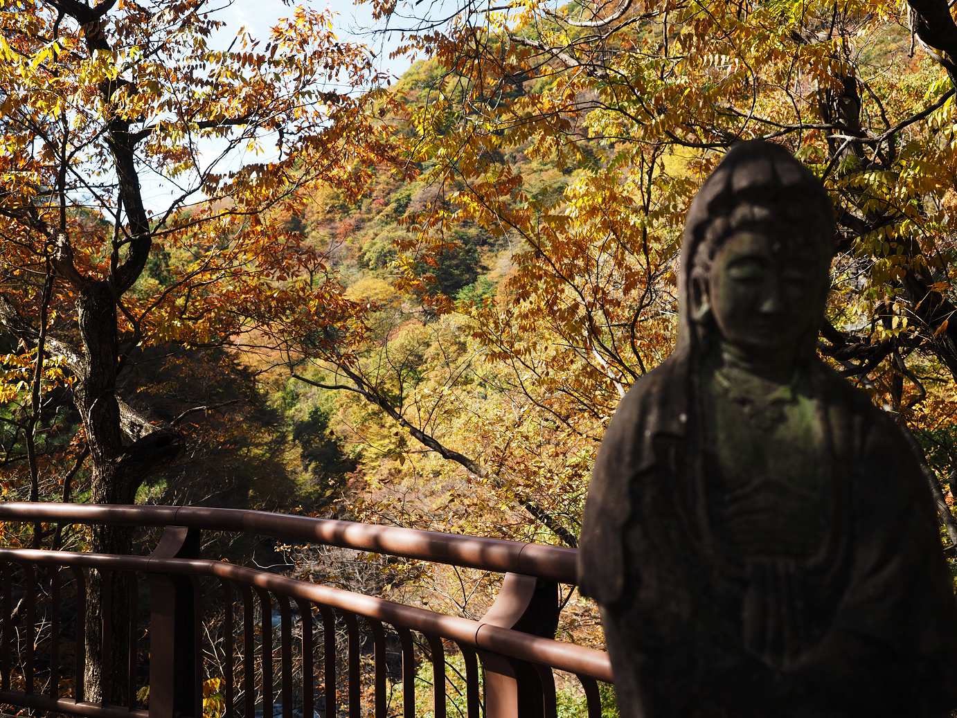 PA310338.jpg