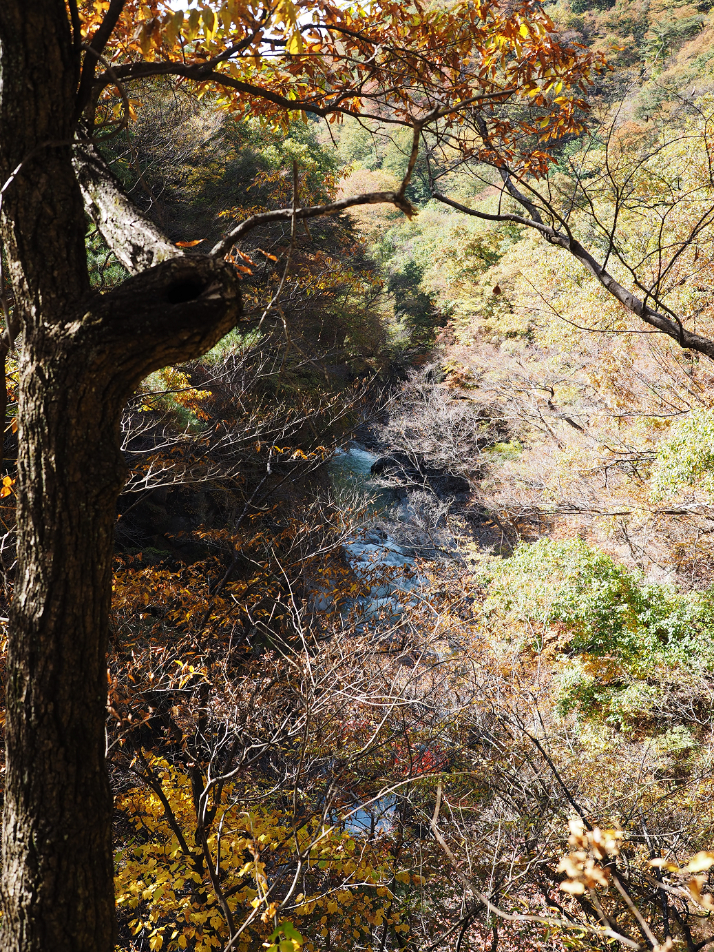 PA310340.jpg