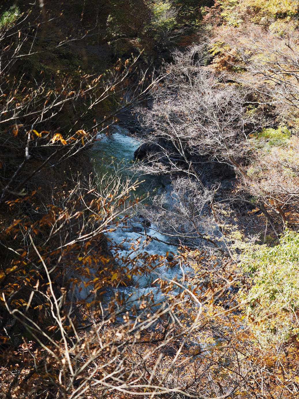 PA310341.jpg