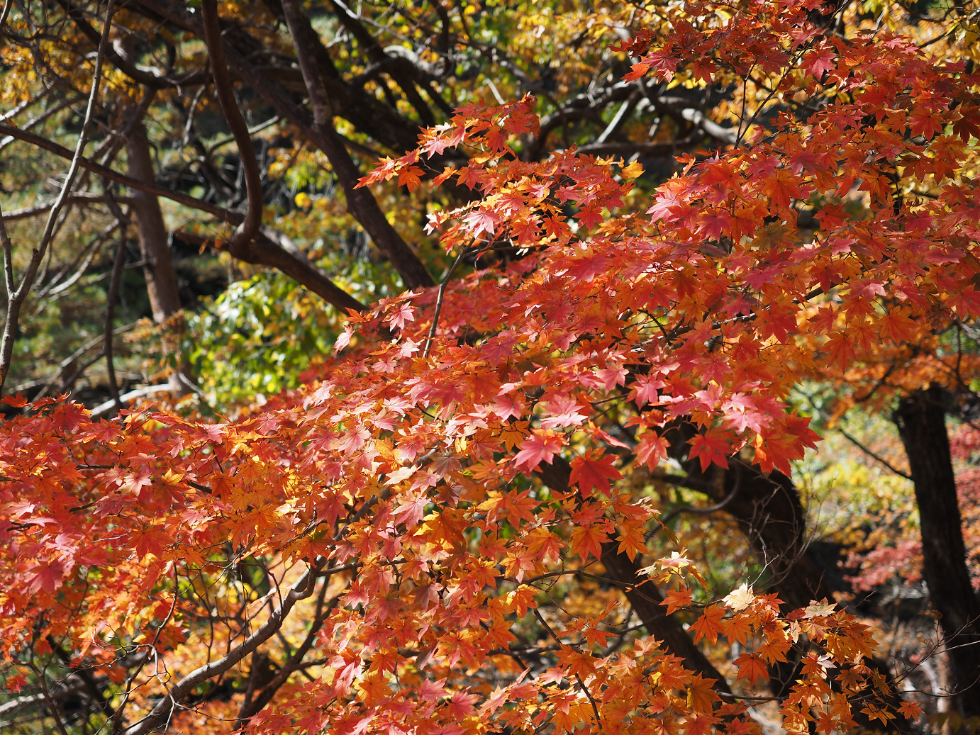 PA310346.jpg