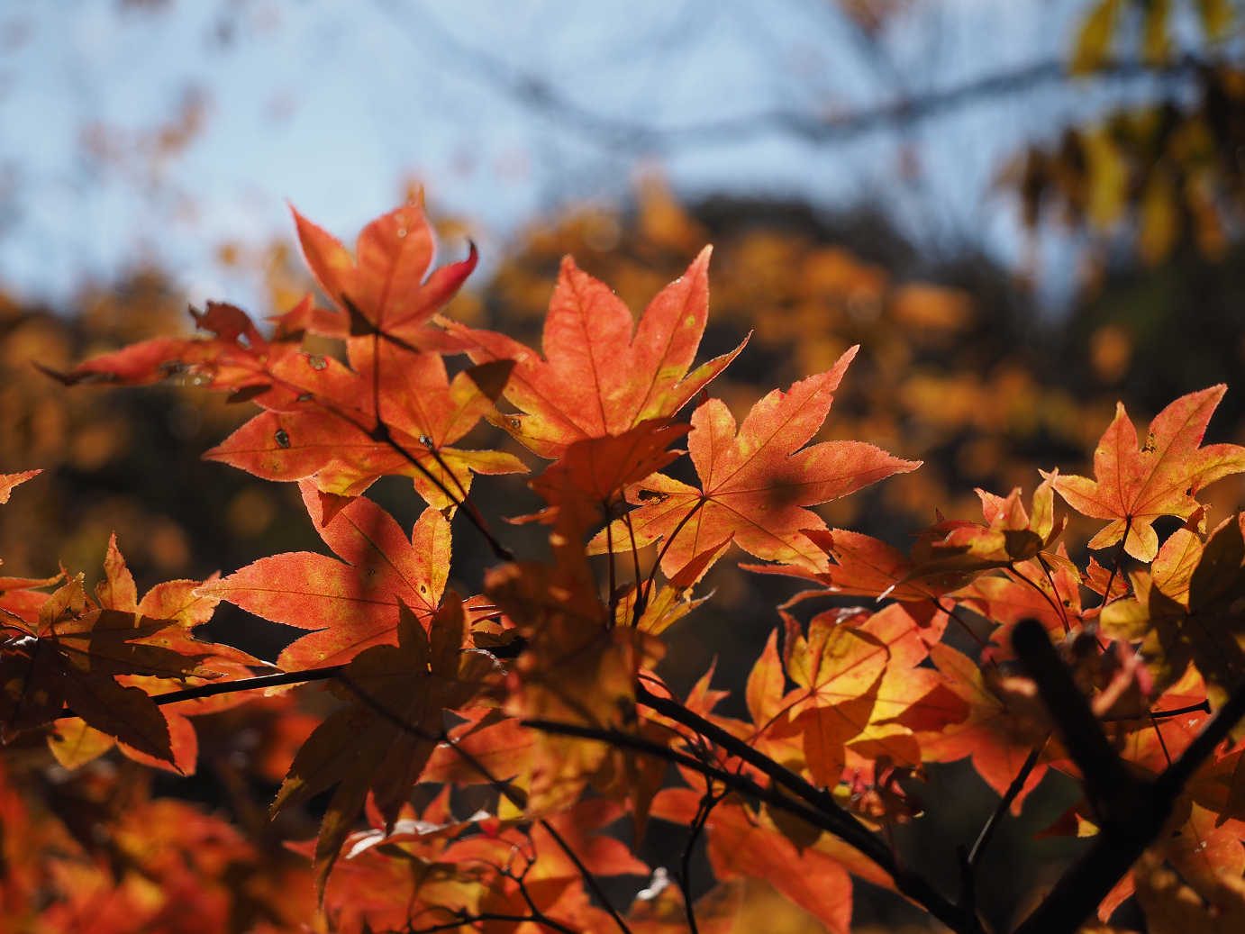 PA310347.jpg
