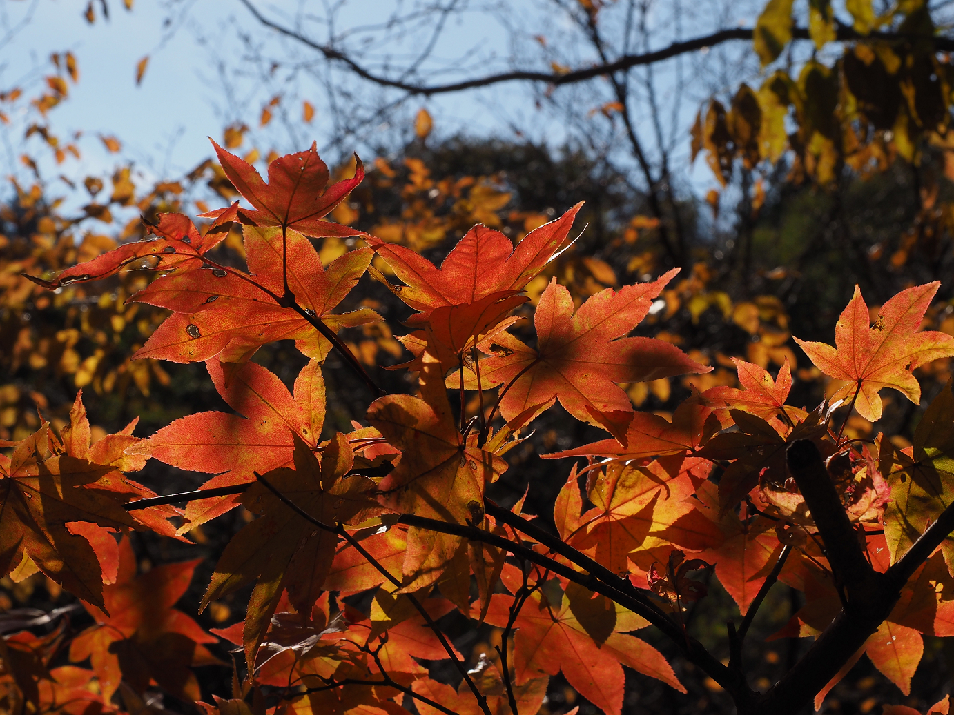 PA310348.jpg