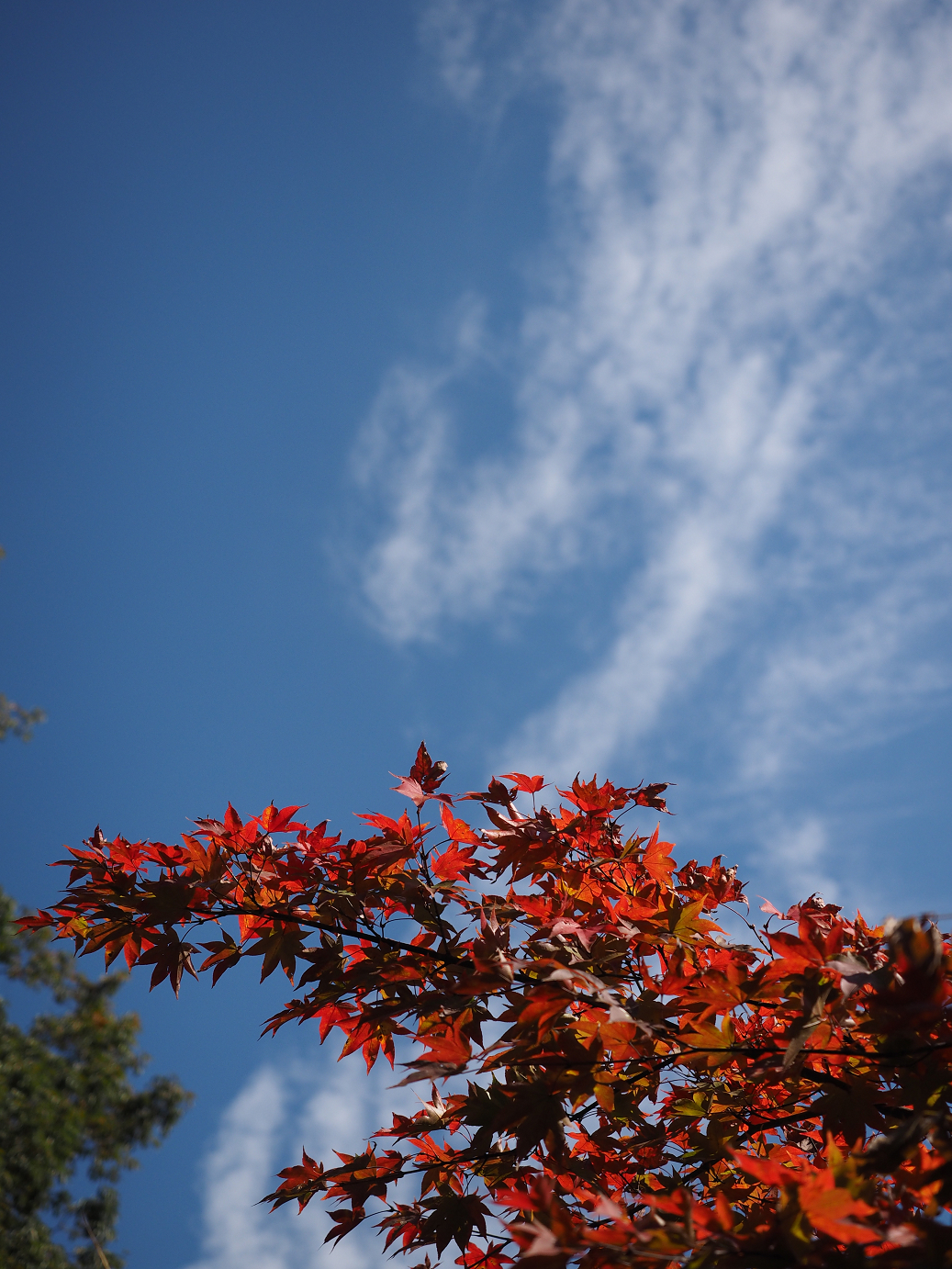 PA310350.jpg