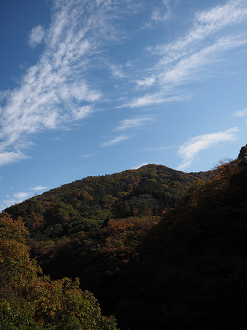 PA310358_thumb.png