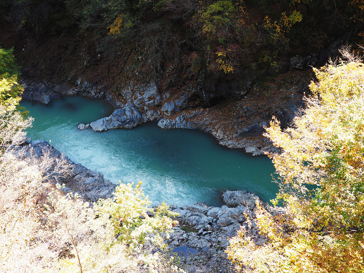 PA310362.jpg