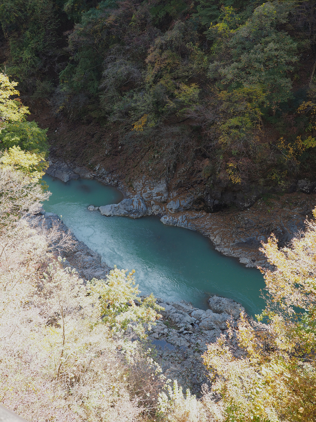 PA310363.jpg