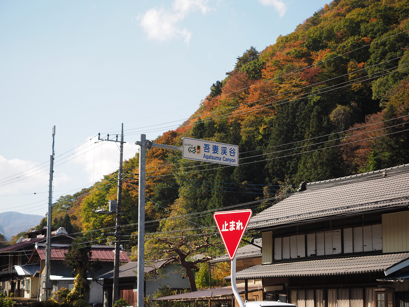 PA310369.jpg