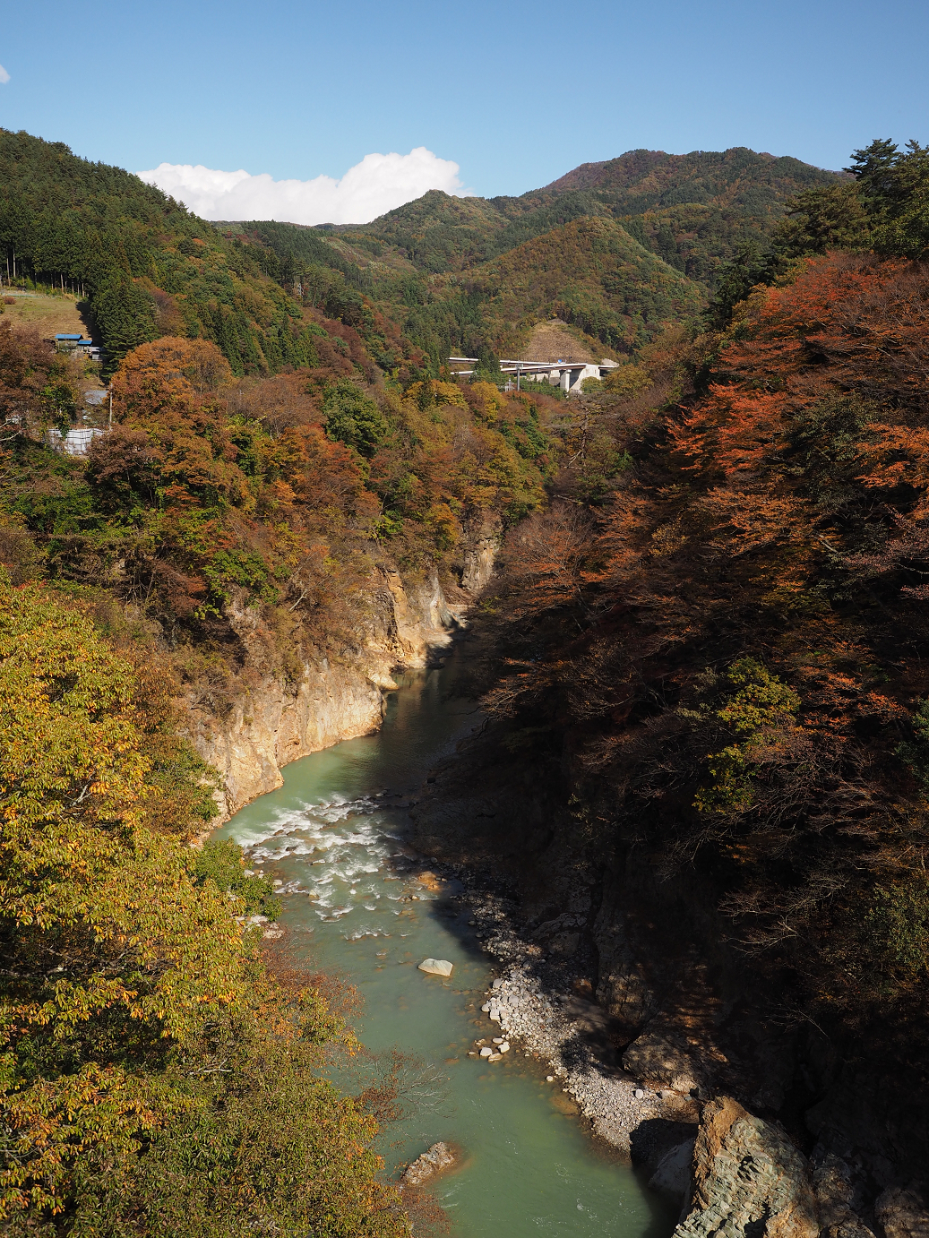 PA310371.jpg