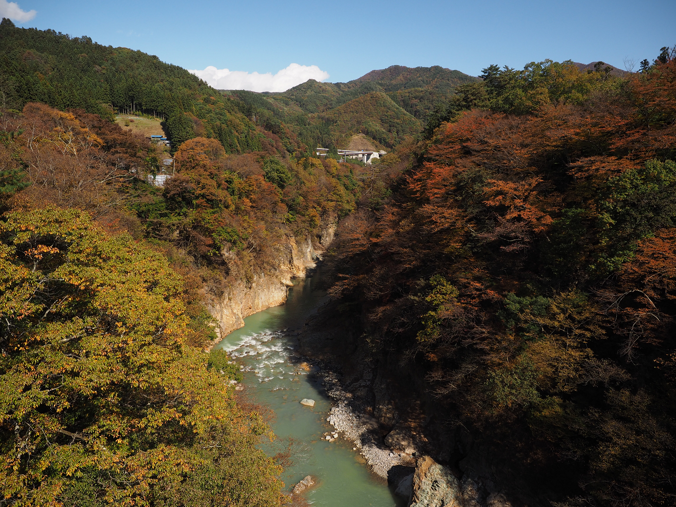 PA310375.jpg