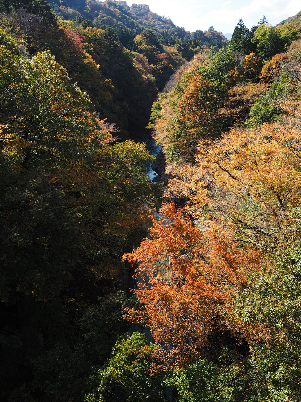PA310380.jpg