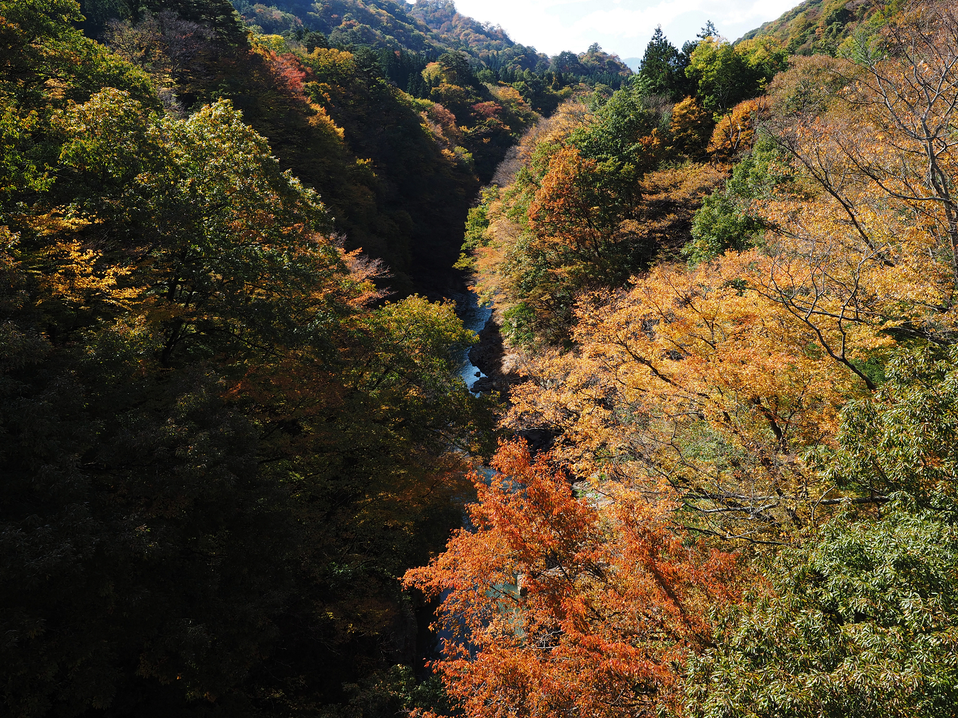 PA310381.jpg