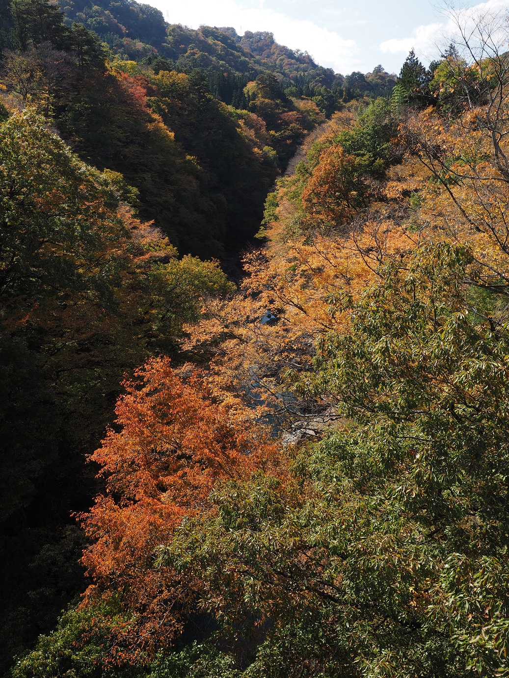 PA310385.jpg