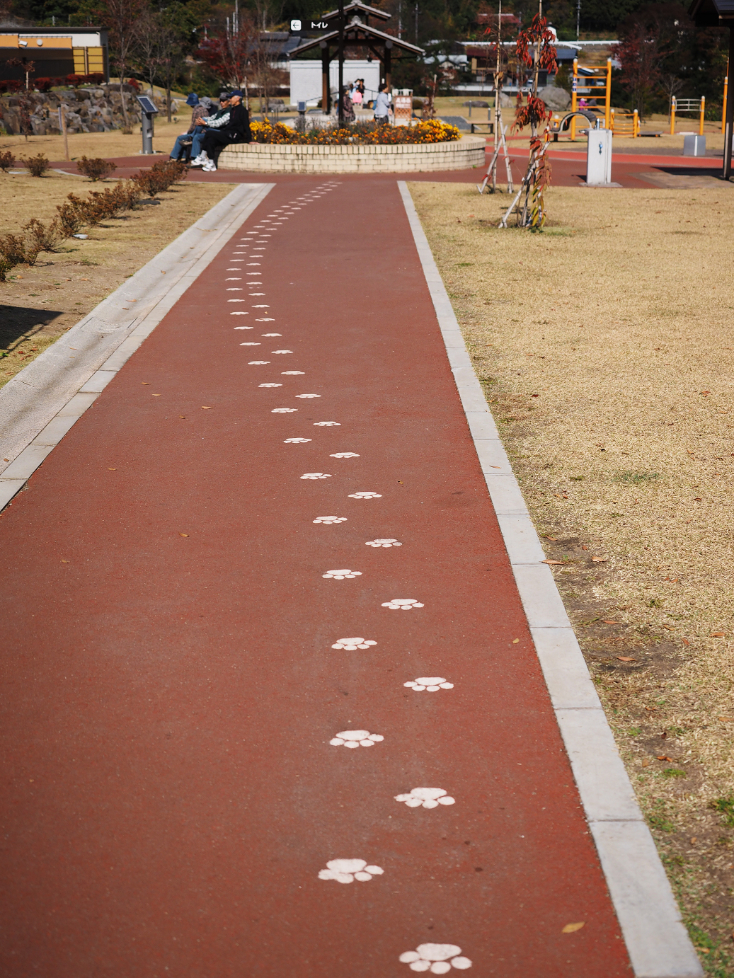 PA310399.jpg